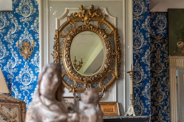 Château 18 pièces, 520 m² à Saint-Gervais-en-Vallière, photo 3 sur 10