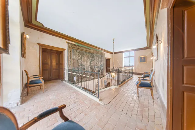 Château 18 pièces, 520 m² à Saint-Gervais-en-Vallière, photo 4 sur 10